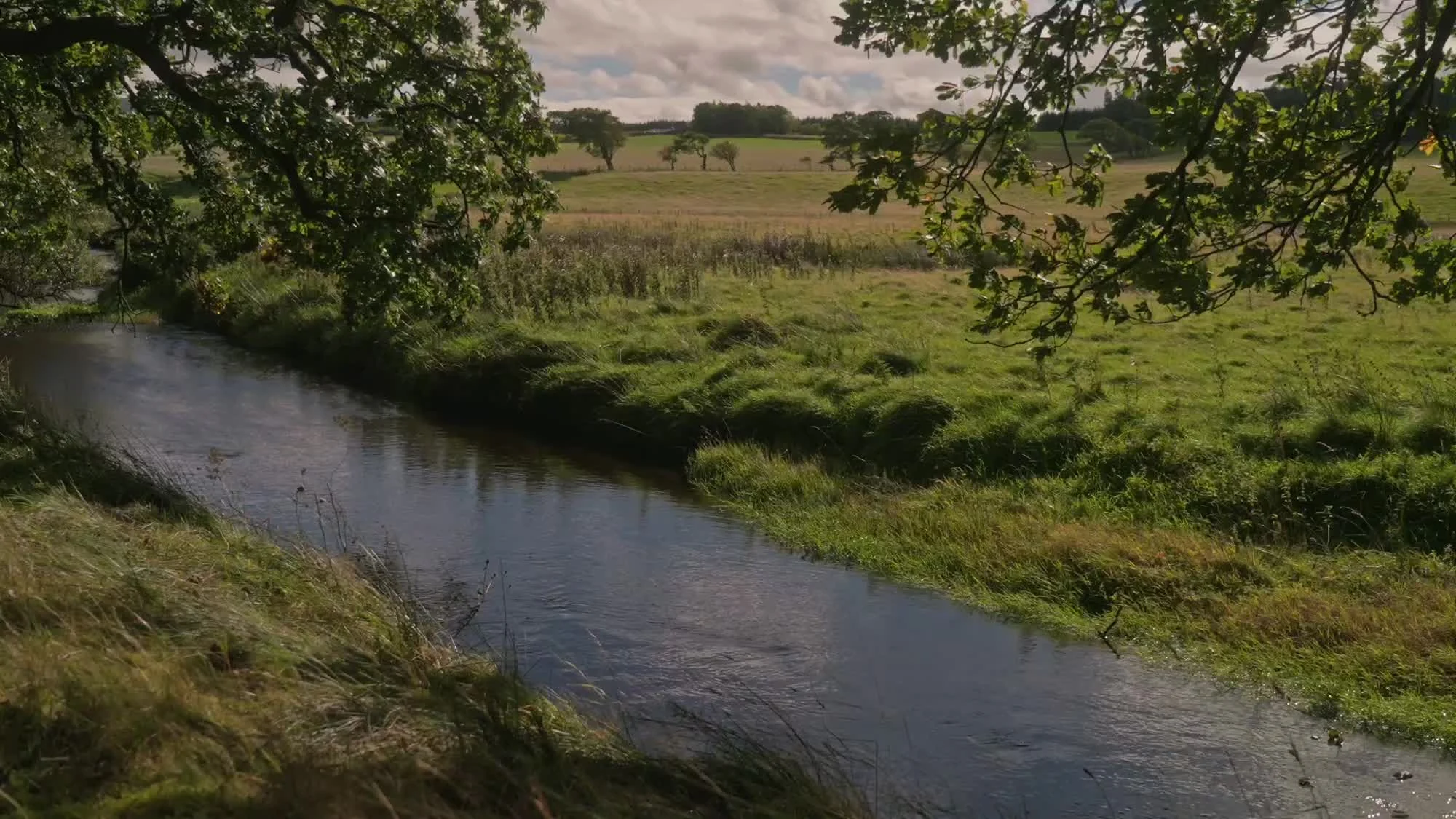 The river running beneath the trees in the surrounding countryside